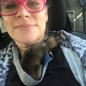 Meet your Posher, Tiffanye